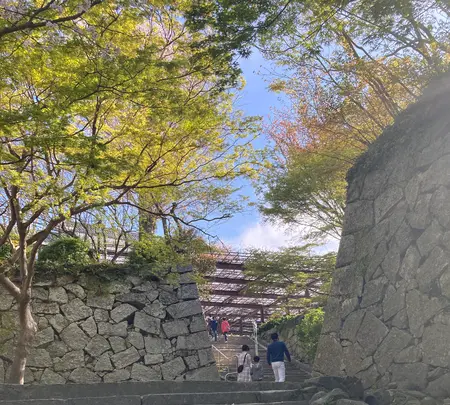 唐津城の写真・動画_image_421396
