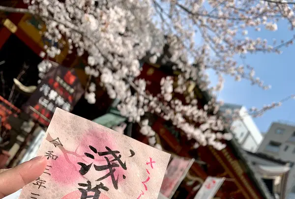 浅草神社（三社さま）の写真・動画_image_421405