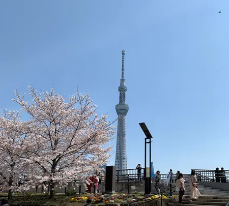 東京ソラマチの写真・動画_image_421407