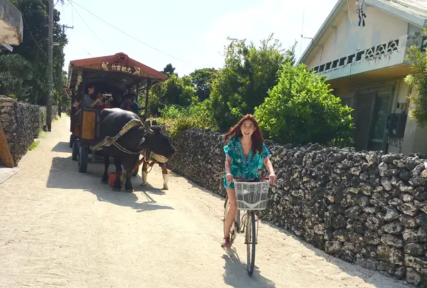 （有）竹富観光センターの写真・動画_image_421453