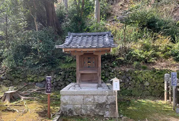 月読神社の写真・動画_image_421485