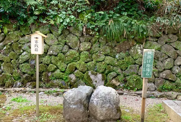 月読神社の写真・動画_image_421487