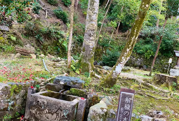 月読神社の写真・動画_image_421489