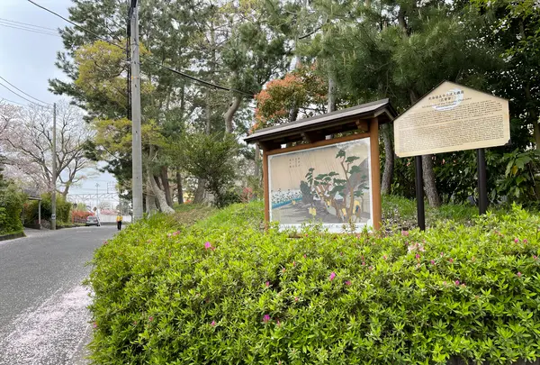 化粧坂の写真・動画_image_421500