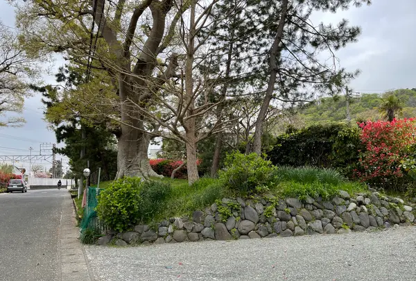 化粧坂の写真・動画_image_421501