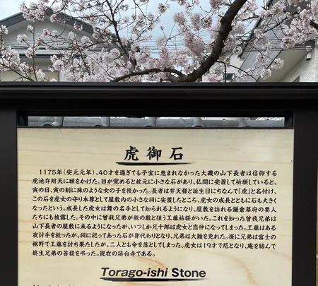 延台寺の写真・動画_image_421506