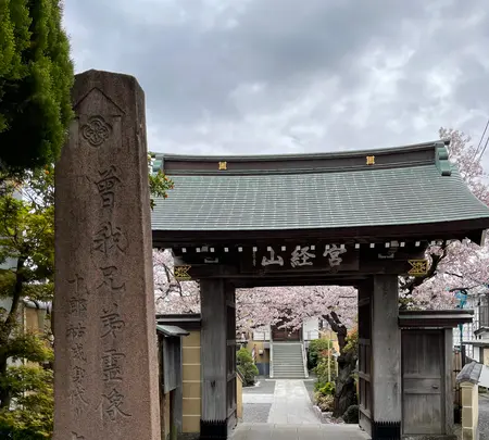 延台寺の写真・動画_image_421508