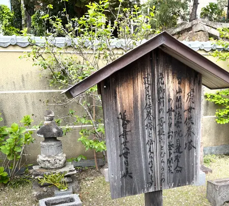 延台寺の写真・動画_image_421520