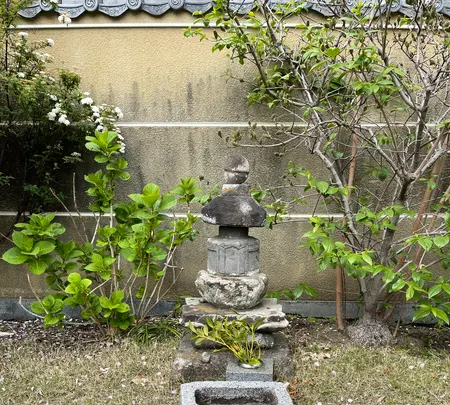 延台寺の写真・動画_image_421521