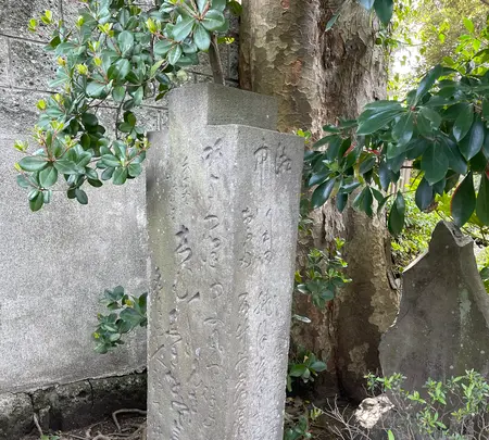 鴫立庵の写真・動画_image_421548