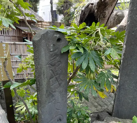 鴫立庵の写真・動画_image_421549