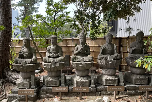 鴫立庵の写真・動画_image_421558