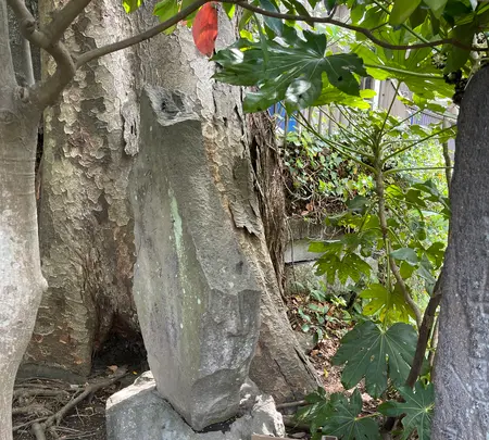 鴫立庵の写真・動画_image_421560