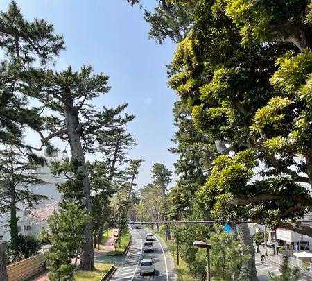 大磯宿 上方見附跡の写真・動画_image_421568