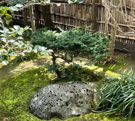 旧島崎藤村邸の写真・動画_image_421573