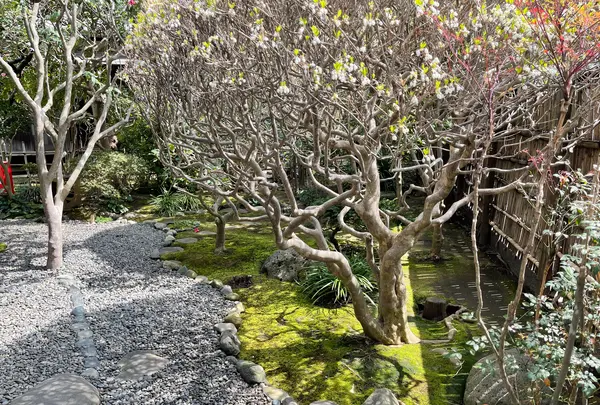 旧島崎藤村邸の写真・動画_image_421574