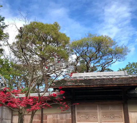 南禅寺の写真・動画_image_421577