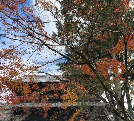 南禅寺の写真・動画_image_421578