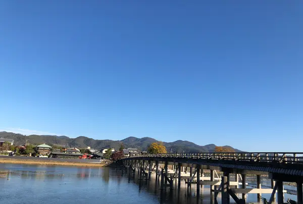 嵐山の写真・動画_image_421600