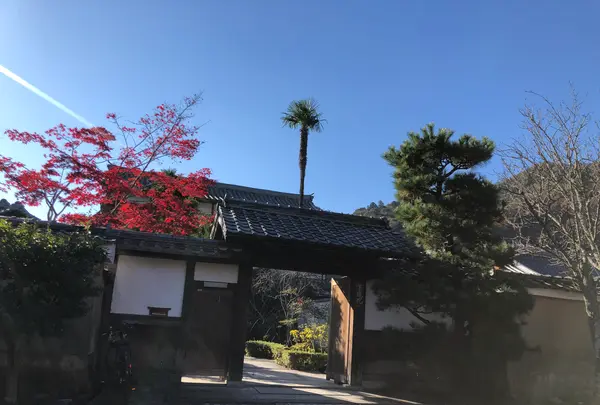 天龍寺の写真・動画_image_421610