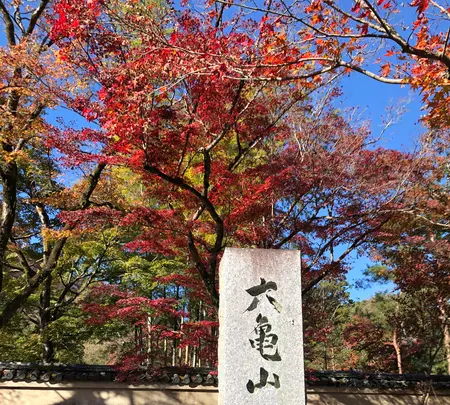 天龍寺の写真・動画_image_421614