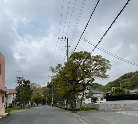 化粧坂の写真・動画_image_421631