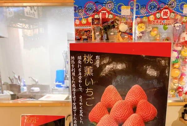 地熱観光ラボ 縁間の写真・動画_image_421686