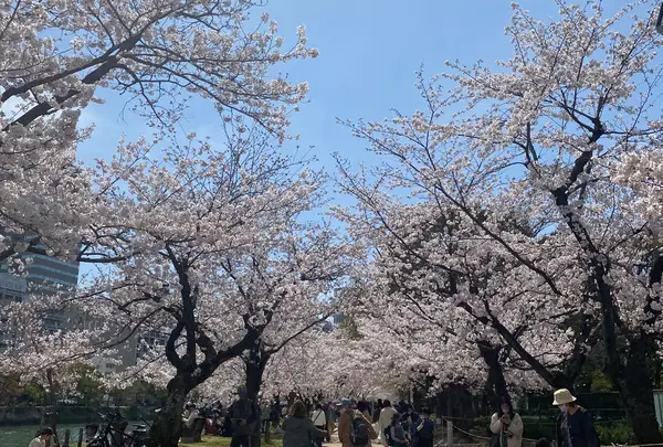 平和記念公園の写真・動画_image_421730