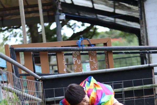 ネオパークオキナワの写真・動画_image_421779