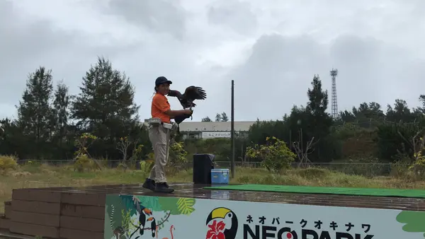 ネオパークオキナワの写真・動画_image_421780