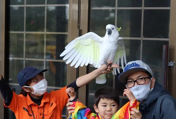 ネオパークオキナワの写真・動画_image_421783