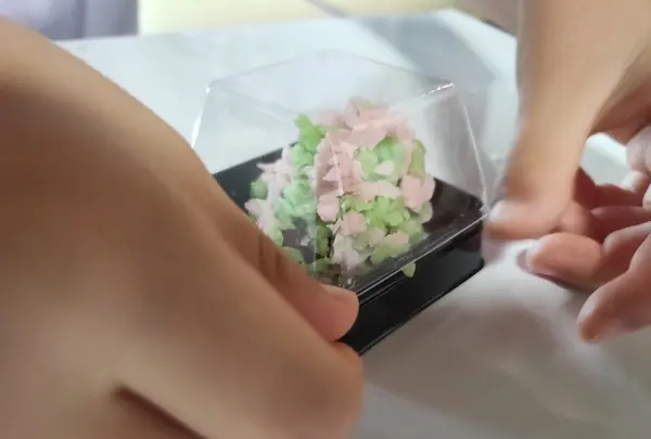 七條甘春堂 本店の写真・動画_image_422179