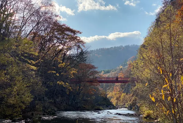 二見吊橋の写真・動画_image_422277