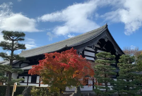 東福寺の写真・動画_image_422290
