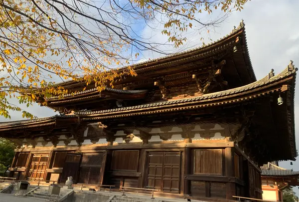 東寺（教王護国寺）の写真・動画_image_422302