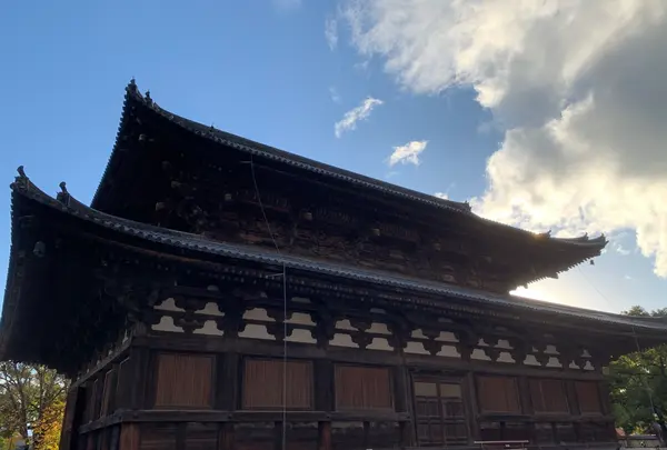 東寺（教王護国寺）の写真・動画_image_422303
