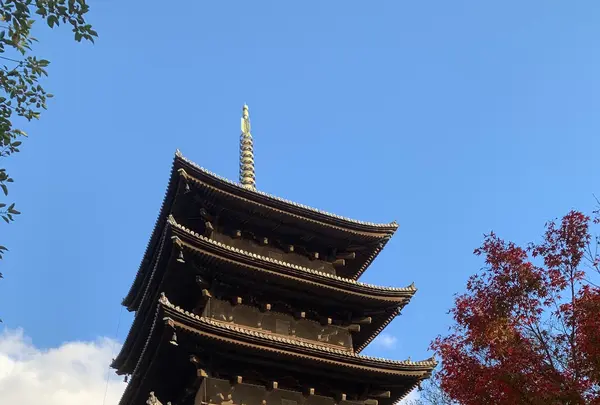 東寺（教王護国寺）の写真・動画_image_422304