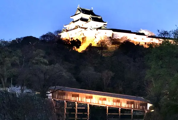和歌山城の写真・動画_image_422316