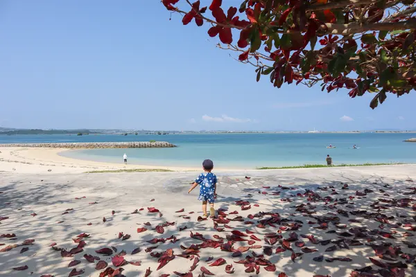 浜比嘉ビーチの写真・動画_image_422356