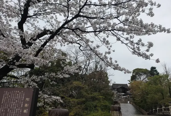 大谷本廟の写真・動画_image_422398