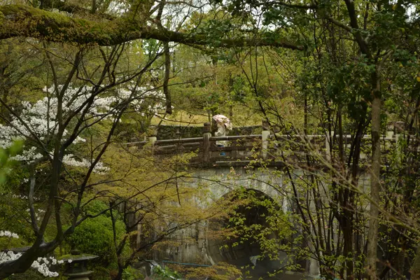 大谷本廟の写真・動画_image_422401