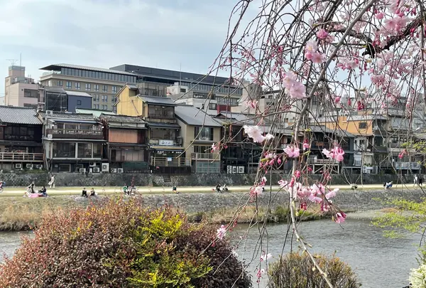 鴨川の写真・動画_image_422436