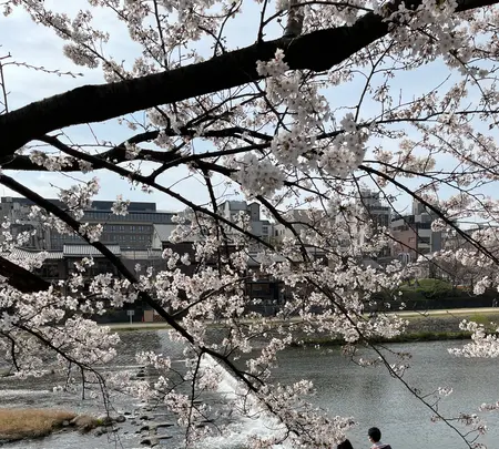 鴨川の写真・動画_image_422438