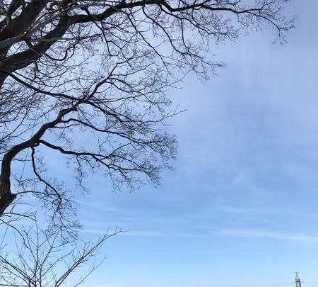 星置神社の写真・動画_image_422493