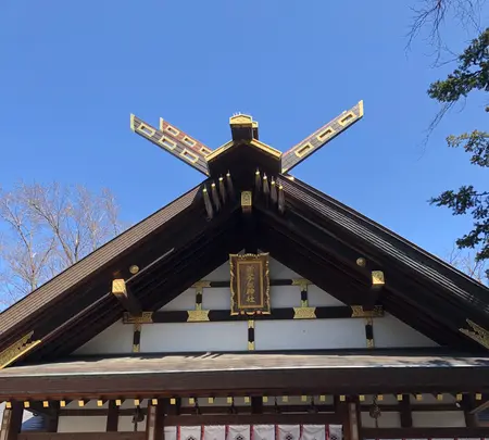 新琴似神社の写真・動画_image_422496