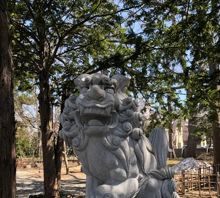 新琴似神社の写真・動画_image_422497