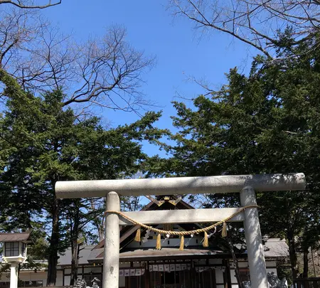 新琴似神社の写真・動画_image_422498