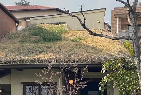 珈琲　麓の写真・動画_image_422550