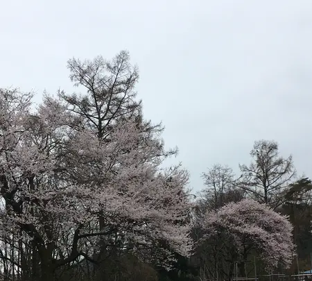 国営アルプスあづみの公園　堀金・穂高地区の写真・動画_image_422610