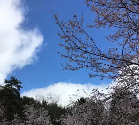 小岩嶽城跡の写真・動画_image_422617